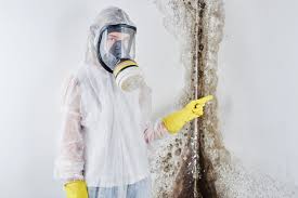 Best Industrial Mold Remediation  in Bayshore Gardens, FL